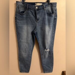 A Beautiful Soul Distressed Skinny Jeans